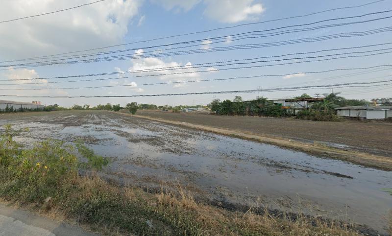 ที่ดิน 199999995 ปทุมธานี สามโคก บางเตย