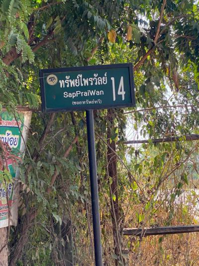 ที่ดิน 4500000 พิษณุโลก วังทอง แก่งโสภา