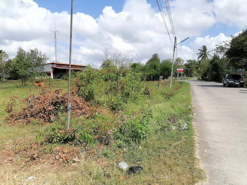 ที่ดิน 9000000 สงขลา หาดใหญ่ บ้านพรุ