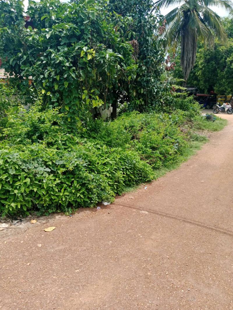 ที่ดิน 890000 สุโขทัย ศรีสำโรง สามเรือน