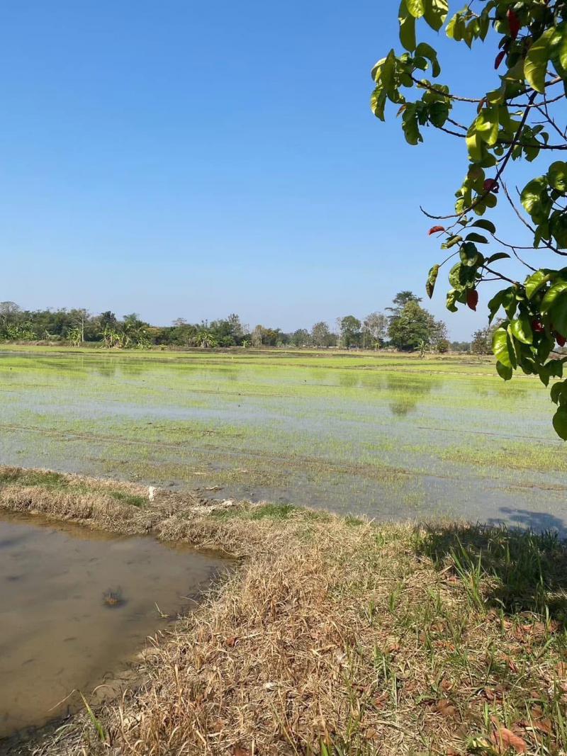 ที่ดิน 1200000 เชียงราย เมืองเชียงราย บ้านดู่