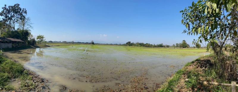 ที่ดิน 1200000 เชียงราย เมืองเชียงราย บ้านดู่