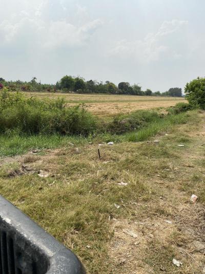 ที่ดิน 196000000 ปทุมธานี ลำลูกกา ลำลูกกา