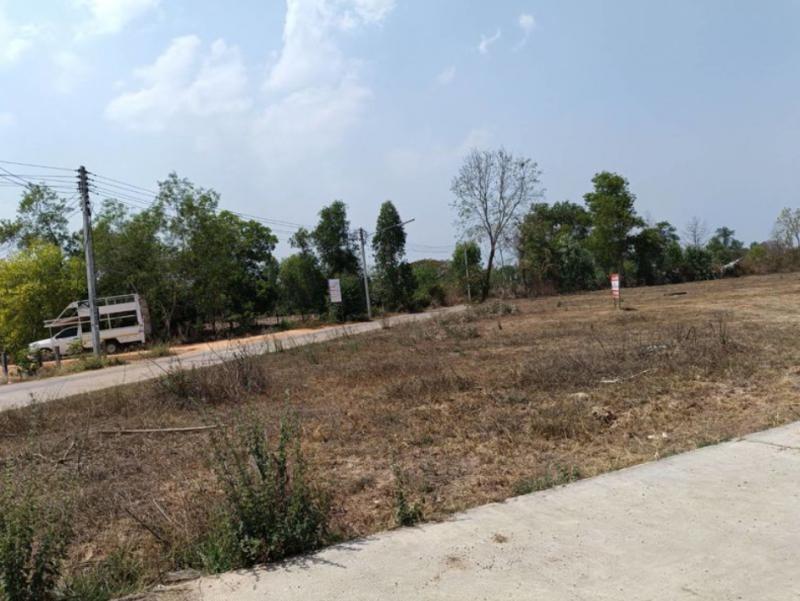 ที่ดิน 250000 อุดรธานี เมืองอุดรธานี โนนสูง
