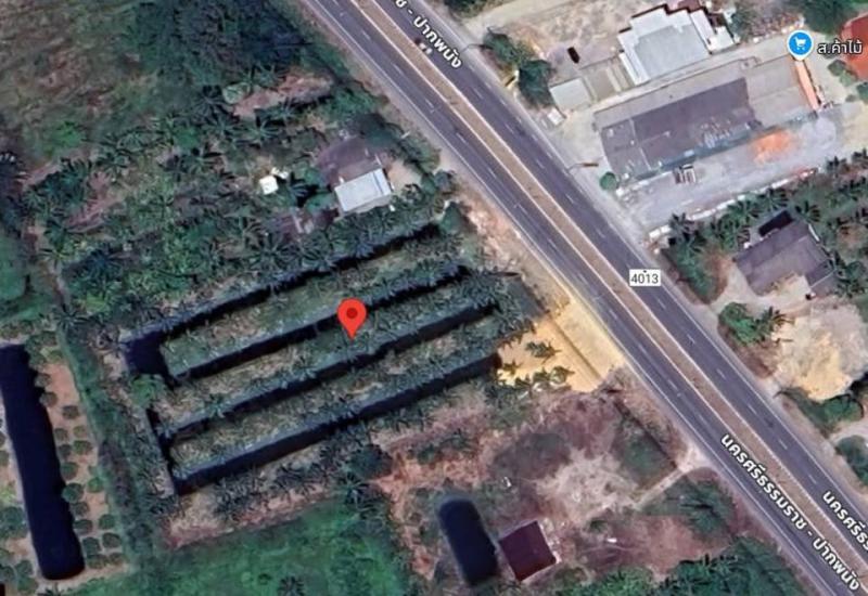 ที่ดิน 9200000 นครศรีธรรมราช เมืองนครศรีธรรมราช บางจาก