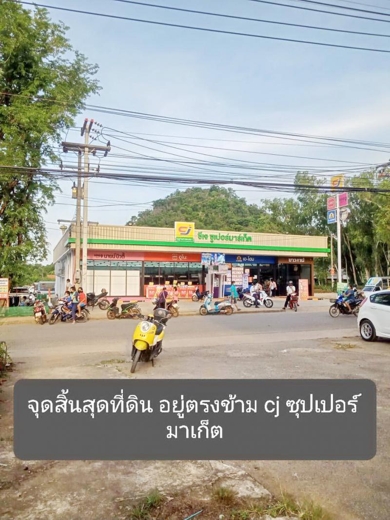 ที่ดิน 3500000 นครราชสีมา ปากช่อง หนองน้ำแดง