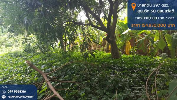 ที่ดิน 390000 กรุงเทพมหานคร เขตคลองเตย พระโขนง