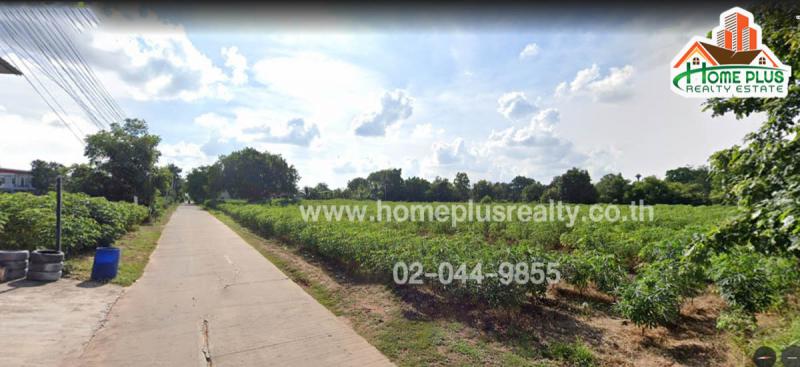 ที่ดิน 24984000 นครราชสีมา เมืองนครราชสีมา บ้านใหม่