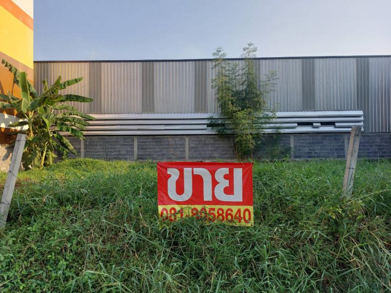 ที่ดิน 3300000 ปทุมธานี เมืองปทุมธานี หลักหก