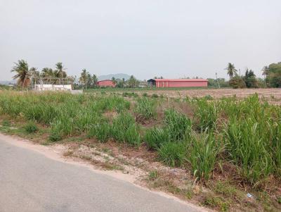 ที่ดิน 3500000 ระยอง บ้านฉาง สำนักท้อน