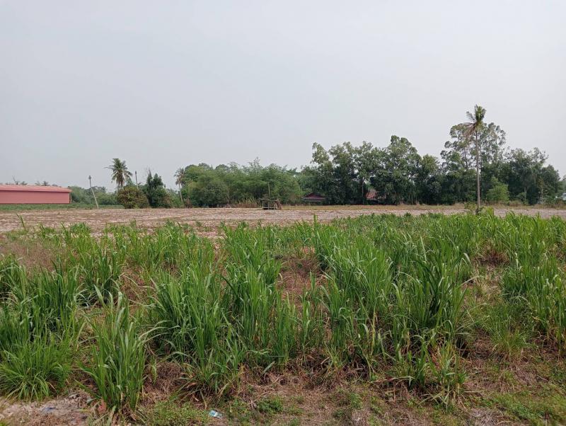 ที่ดิน 3500000 ระยอง บ้านฉาง สำนักท้อน