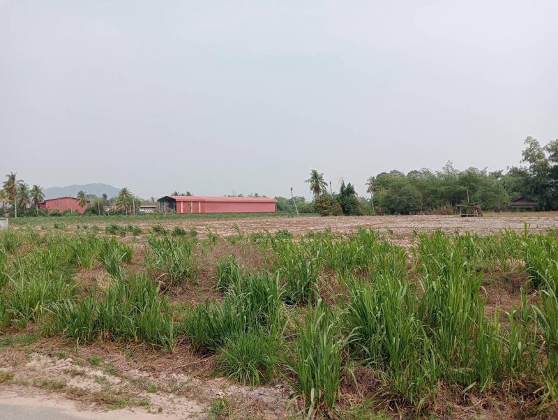 ที่ดิน 3500000 ระยอง บ้านฉาง สำนักท้อน