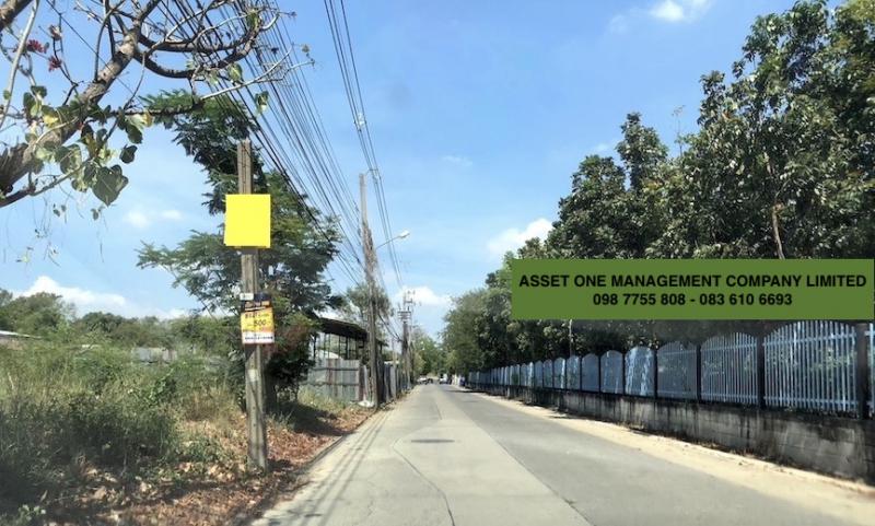 ที่ดิน 17500000 นนทบุรี ปากเกร็ด บ้านใหม่