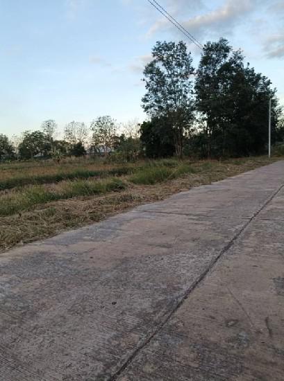 ที่ดิน 99000 อุดรธานี บ้านผือ บ้านผือ