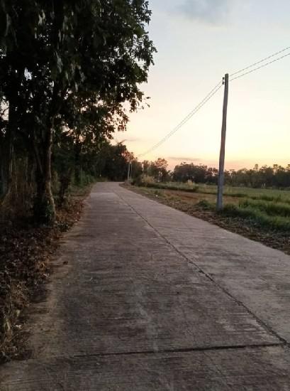ที่ดิน 99000 อุดรธานี บ้านผือ บ้านผือ