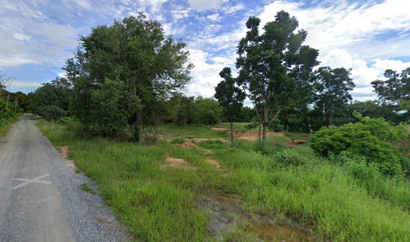 ที่ดิน 540000000 ลพบุรี พัฒนานิคม ดีลัง
