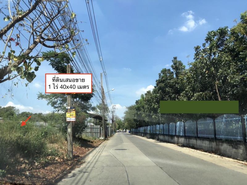 ที่ดิน 17500000 นนทบุรี ปากเกร็ด บ้านใหม่