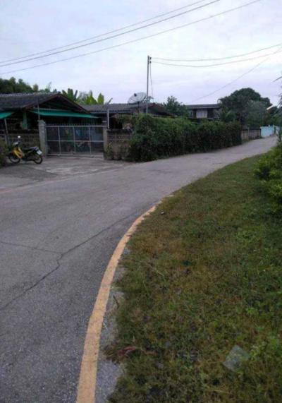 ที่ดิน 1500000 ลำปาง เมืองลำปาง ปงแสนทอง