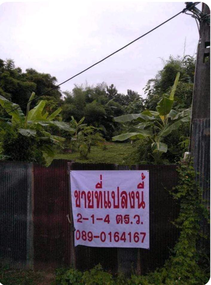 ที่ดิน 1500000 ลำปาง เมืองลำปาง ปงแสนทอง