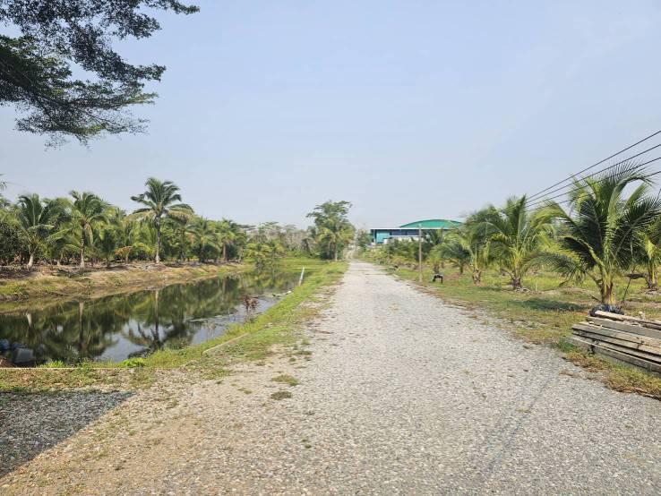 ไร่สวน 800000 จันทบุรี ท่าใหม่ เขาบายศรี