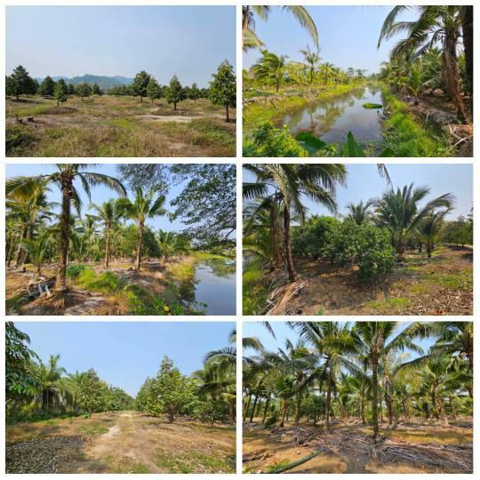 ไร่สวน 800000 จันทบุรี ท่าใหม่ เขาบายศรี