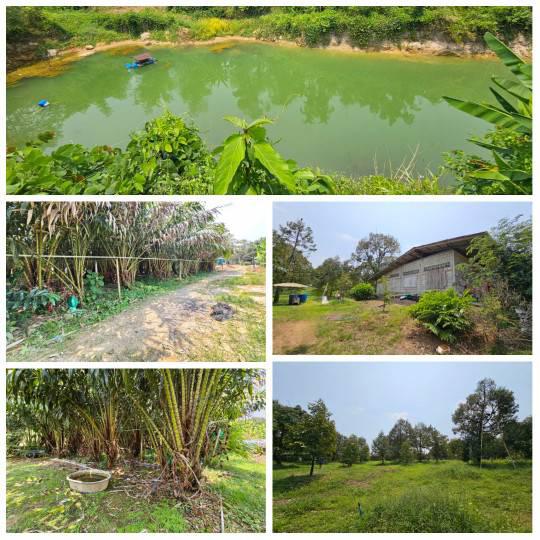 ไร่สวน 8000000 จันทบุรี ท่าใหม่ เขาบายศรี