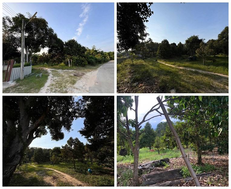 ที่ดิน 2500000 ระยอง เมืองระยอง เพ