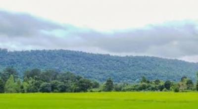 ที่ดิน 550000 สระบุรี แก่งคอย สองคอน