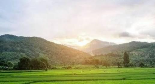 ที่ดิน 550000 สระบุรี แก่งคอย สองคอน