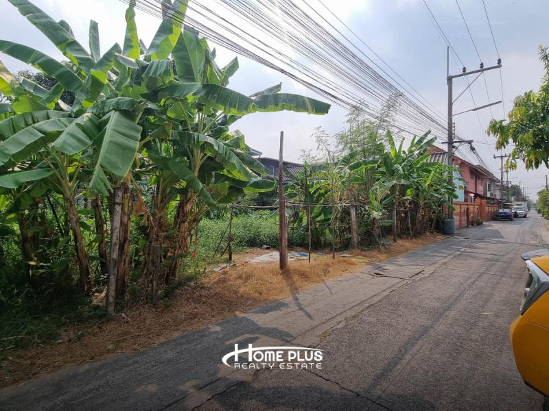 ที่ดิน 5000 ปทุมธานี ลำลูกกา คูคต