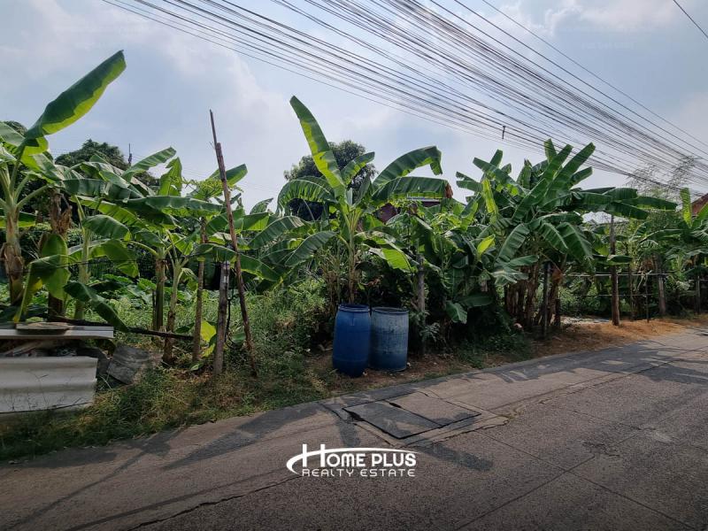 ที่ดิน 5000 ปทุมธานี ลำลูกกา คูคต