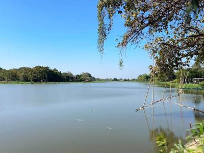 ที่ดิน 13500000 นครปฐม บางเลน บางระกำ