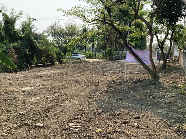 ที่ดิน 2400000 นนทบุรี บางใหญ่ บางเลน