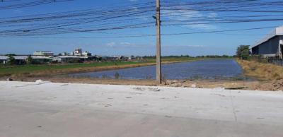 ที่ดิน 245000000 ฉะเชิงเทรา เมืองฉะเชิงเทรา คลองนครเนื่องเขต
