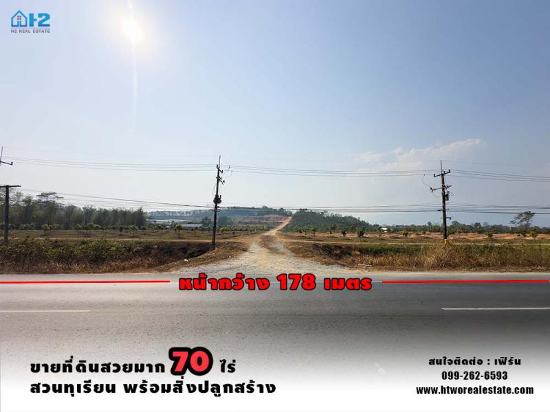 ที่ดิน 9999999 จันทบุรี มะขาม ปัถวี