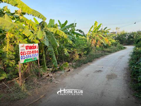ที่ดิน 3750000 อ่างทอง เมืองอ่างทอง ศาลาแดง