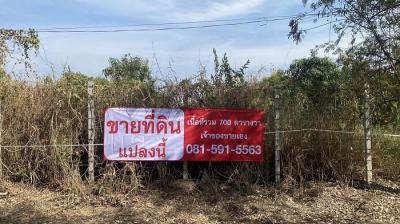 ที่ดิน 15400000 นนทบุรี บางใหญ่ บางแม่นาง