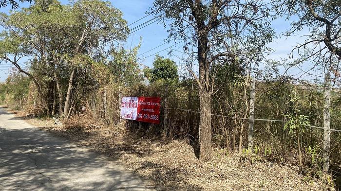 ที่ดิน 15400000 นนทบุรี บางใหญ่ บางแม่นาง