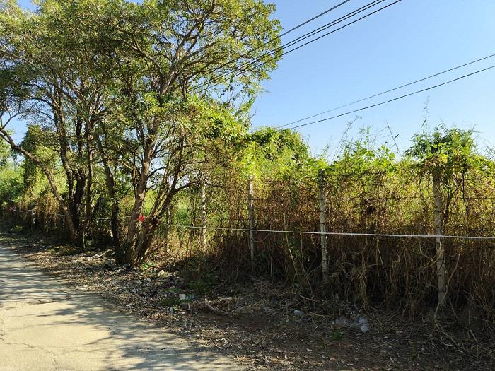 ที่ดิน 15400000 นนทบุรี บางใหญ่ บางแม่นาง