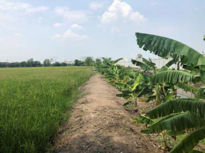 ที่ดิน 950000 พระนครศรีอยุธยา บางปะอิน บางกระสั้น