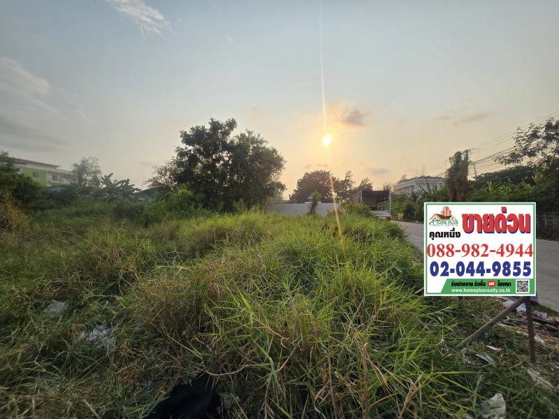 ที่ดิน 15000000 สมุทรปราการ บางพลี