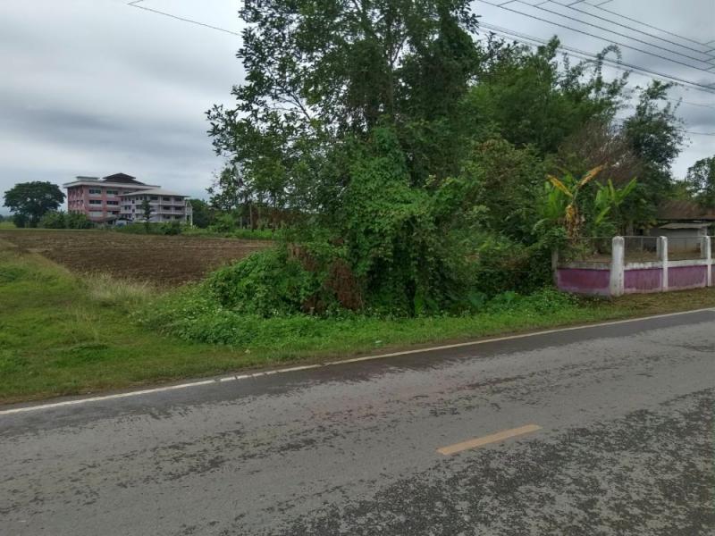 ที่ดิน 7800000 เชียงราย แม่จัน แม่ไร่