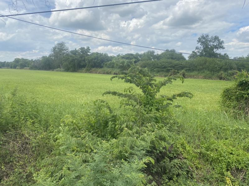 ที่ดิน 127000000 ปทุมธานี ลาดหลุมแก้ว คูขวาง