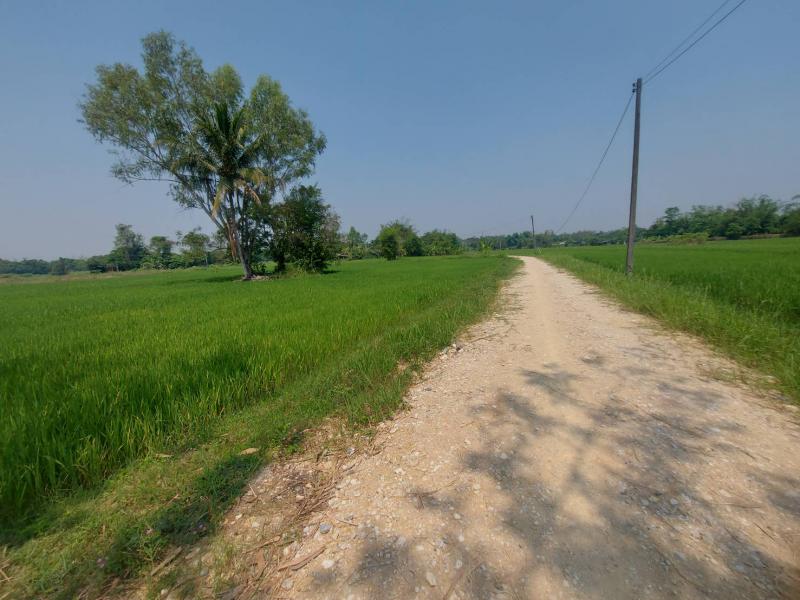 ที่ดิน 750000 ลำปาง เมืองลำปาง ต้นธงชัย
