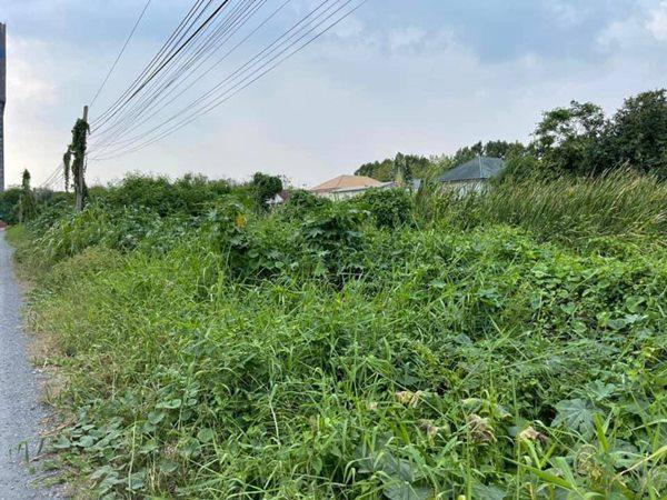 ที่ดิน 75000 นนทบุรี ปากเกร็ด คลองเกลือ