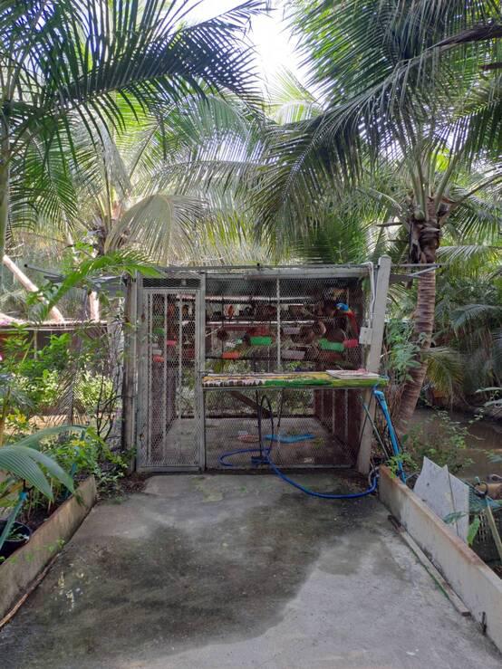 บ้านเดี่ยว 10000 สุพรรณบุรี ศรีประจันต์ วังน้ำซับ