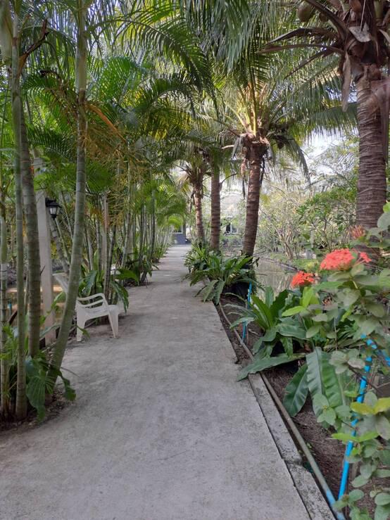 บ้านเดี่ยว 10000 สุพรรณบุรี ศรีประจันต์ วังน้ำซับ