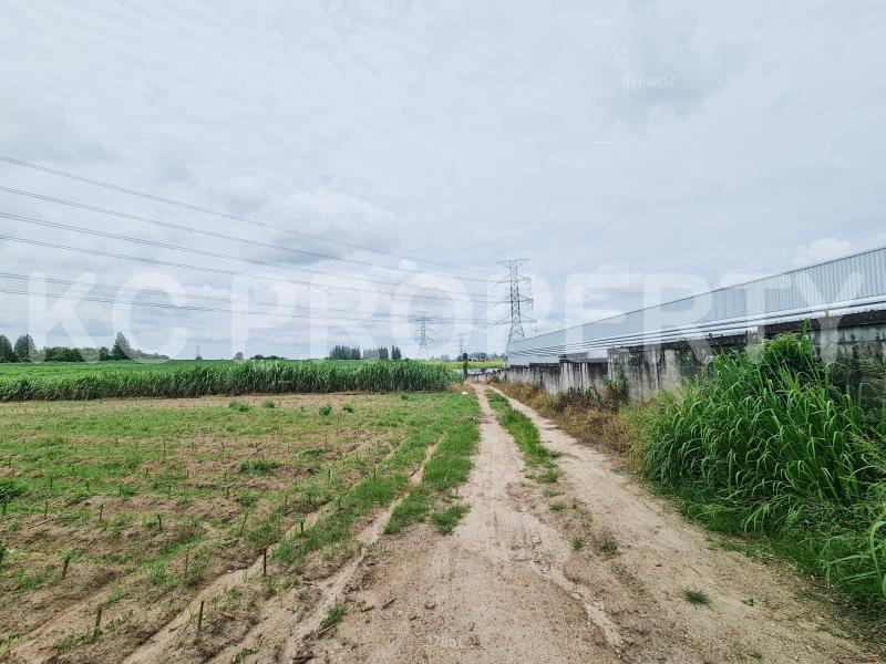 ที่ดิน 1500000 ชลบุรี บ้านบึง หนองอิรุณ