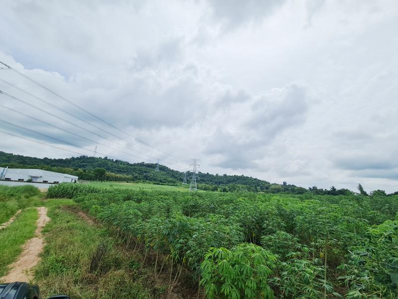 ที่ดิน 1500000 ชลบุรี บ้านบึง หนองอิรุณ