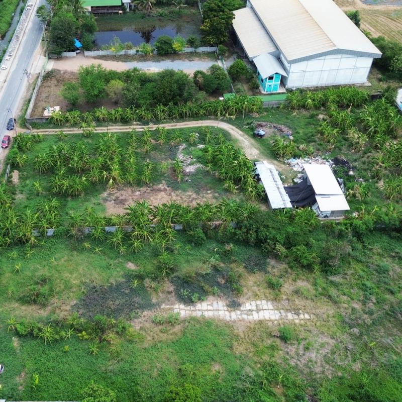 ที่ดิน 55000000 นนทบุรี ปากเกร็ด บางพลับ